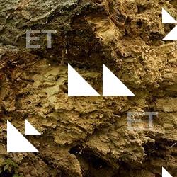 Photo Textures of Wood Decayed