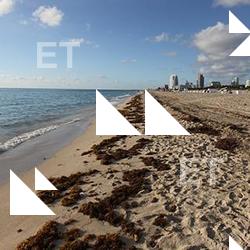 Photo Textures of Background Miami Beach