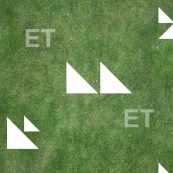 Photo Textures of Ground Grass