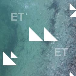 Photo Textures of Ice