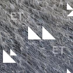 Photo Textures of Ground Grass Dead