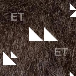 Photo Textures of Animal Skin