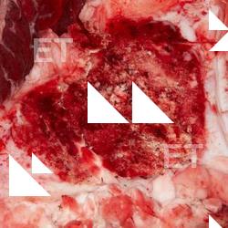 Photo Textures of RAW Beef Meat