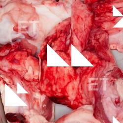 Photo Textures of RAW Beef Meat