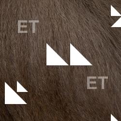 Photo Textures of Monkey Fur