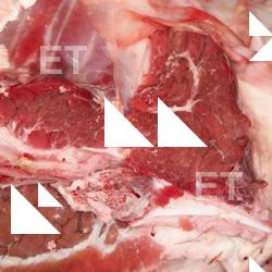 Photo Textures of RAW Beef Meat