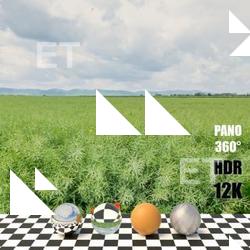 HDR Panorama 360° of Background Field