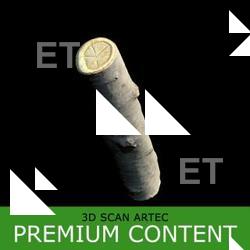  3D Scan of Tree Wood #7