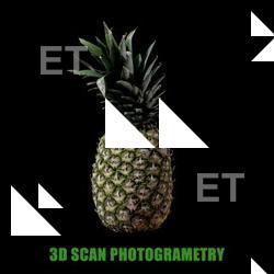 3D Scan of Pineapple