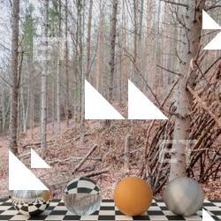 HDR Panorama 360° of Background Forest