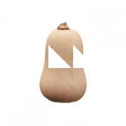 Pumpkin Butter Clean 3D Scan #11