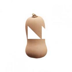 Pumpkin Butter Clean 3D Scan #12