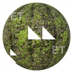 PBR Texture of Moss 4K