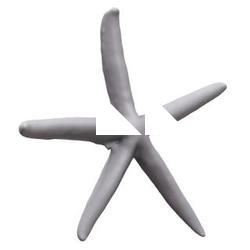 Starfish Base 3D Scan