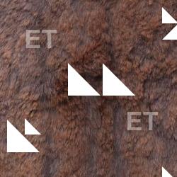 Photo Textures of Fur