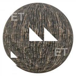 PBR Texture of Tree Bark 4K