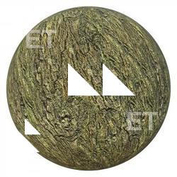 PBR Texture of Tree Bark 4K