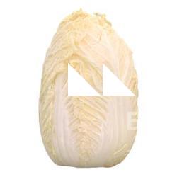 Chinese Cabbage 3D Scan Retopo