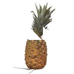 Pineapple 3D Scan Retopo