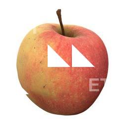 Apple 3D Scan Retopo