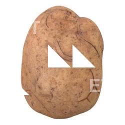 Potato 3D Scan Retopo