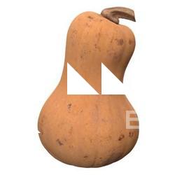 Pumpkin 3D Scan Retopo #16