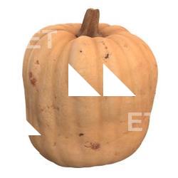 Pumpkin 3D Scan Retopo #15