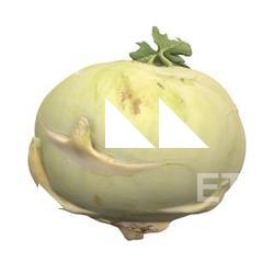 Kohlrabi 3D Scan Retopo