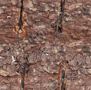 Seamless Bark 0017