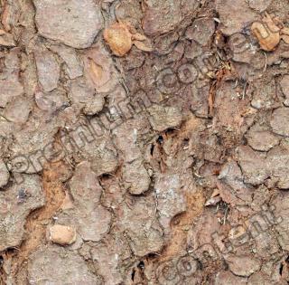 Seamless Bark 0009