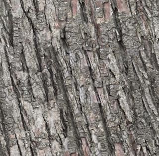 Seamless Bark 0023