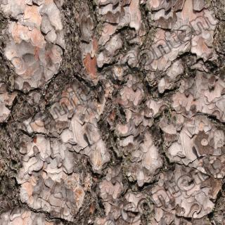 Seamless Bark 0001