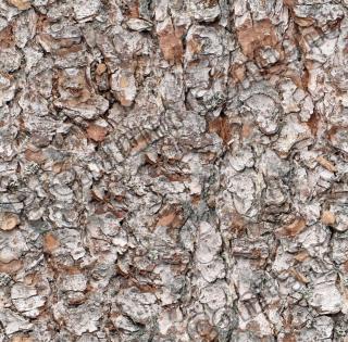 Seamless Bark 0005