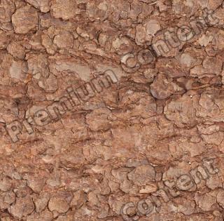 Seamless Bark 0019