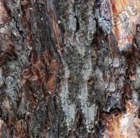 Seamless Bark 0025