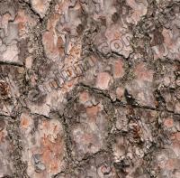 Seamless Bark 0007