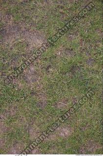 Photo Texture of Grass