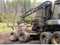 Photo References of Forestry Equipment