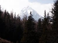 Photo Textures of Background Snowy Mountains