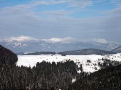 Snowy Mountains