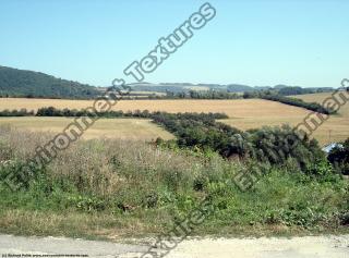 background nature summer