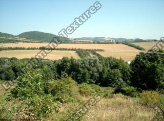 background nature summer