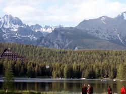 Background Forests