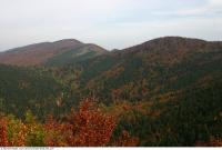 background nature autumn