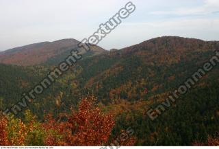 background nature autumn