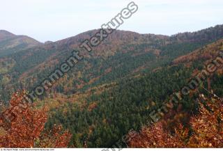 background nature autumn