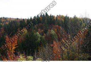 background nature autumn