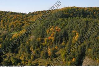 background nature autumn