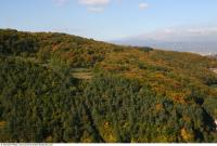 background nature autumn