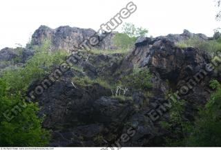 overgrown cliff